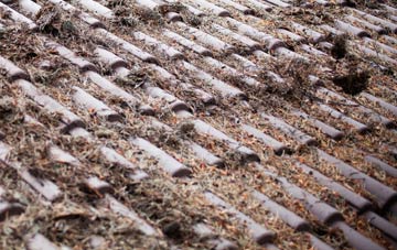 Jericho roof cleaning companies