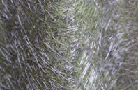 Jericho fibreglass roof work